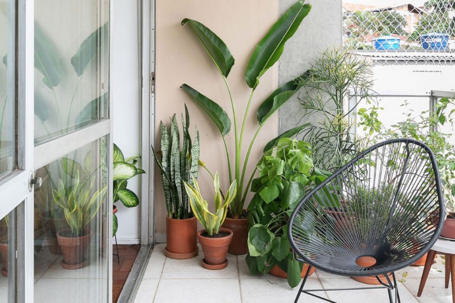 Ban công nhiều cây xanh