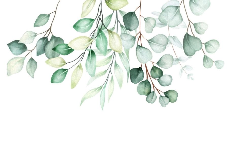 Mẫu decal dán tường cây xanh đơn giản
