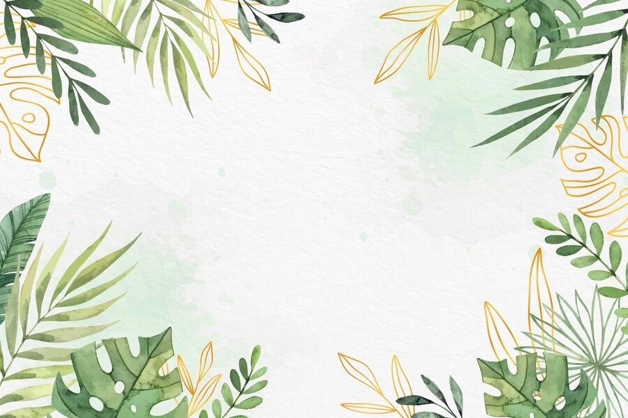 Decal dán tường cây xanh giá rẻ