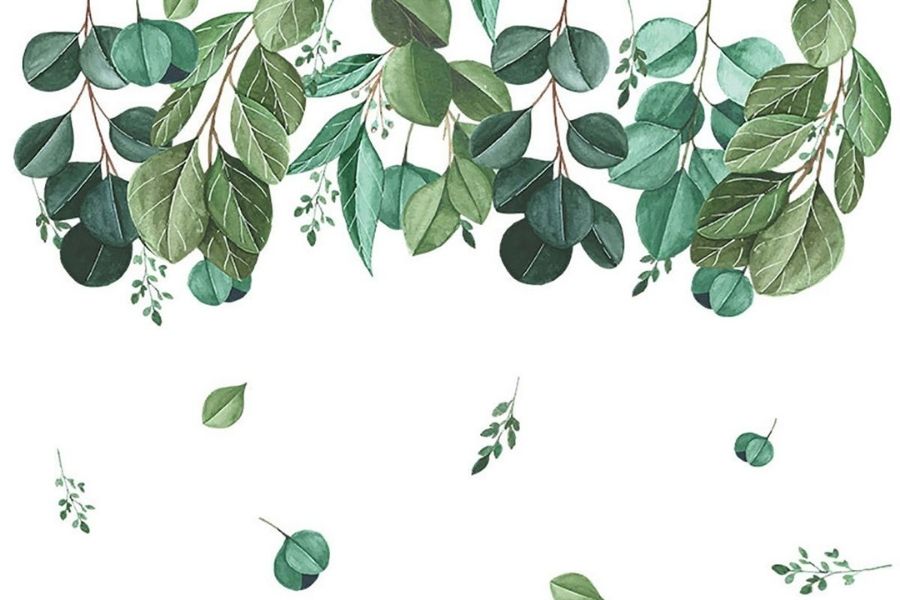 Trang trí phòng khách với decal dán tường cây xanh
