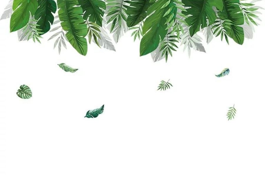 Mẫu giấy dán tường phòng khách hình lá cây