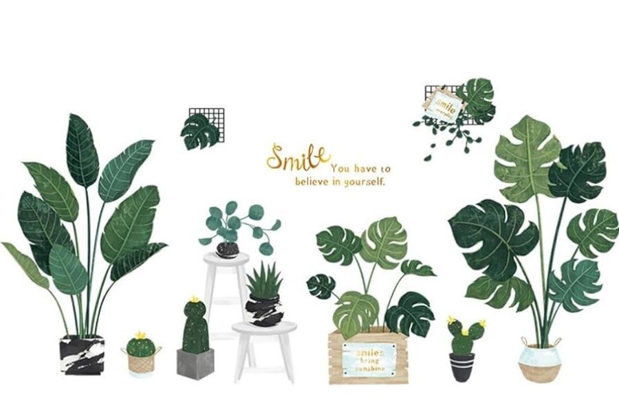 Giấy dán tường chậu cây xanh
