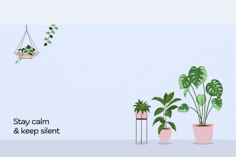 Giấy dán tường cho phòng khách