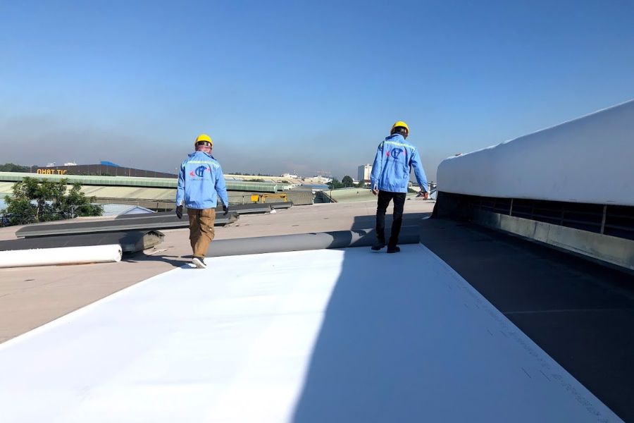 Màng chống tấm TPO