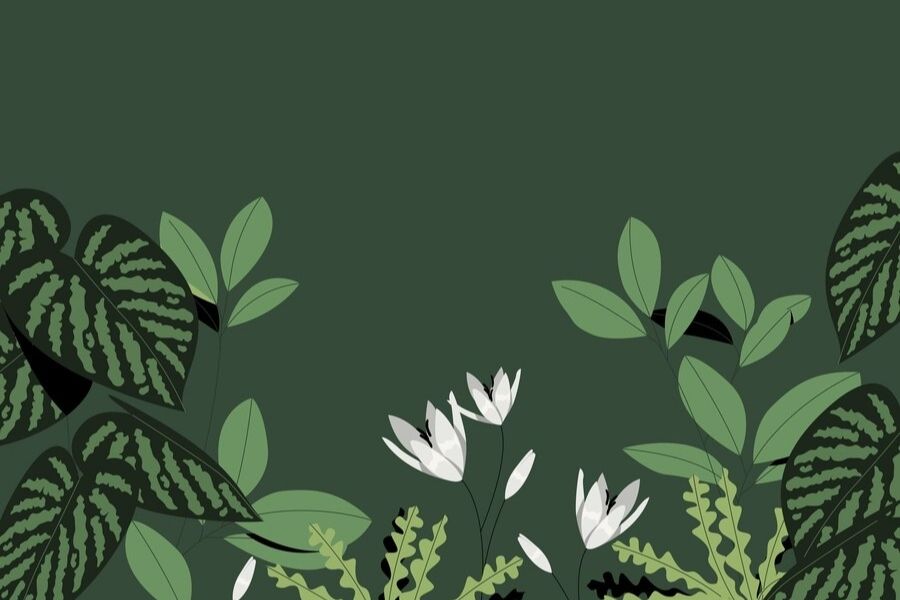 Mẫu decal dán tường lá cây nhiệt đới
