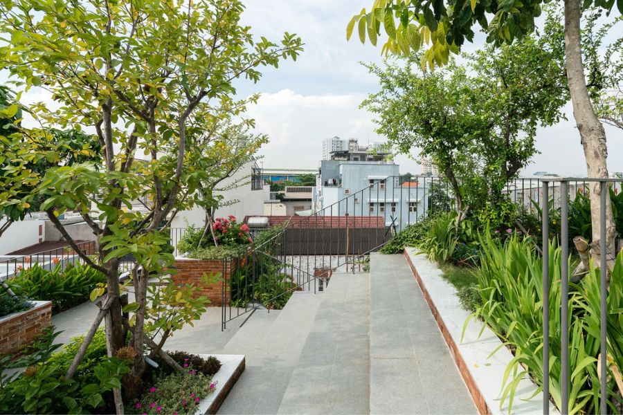 Trồng cây xanh trên sân thượng
