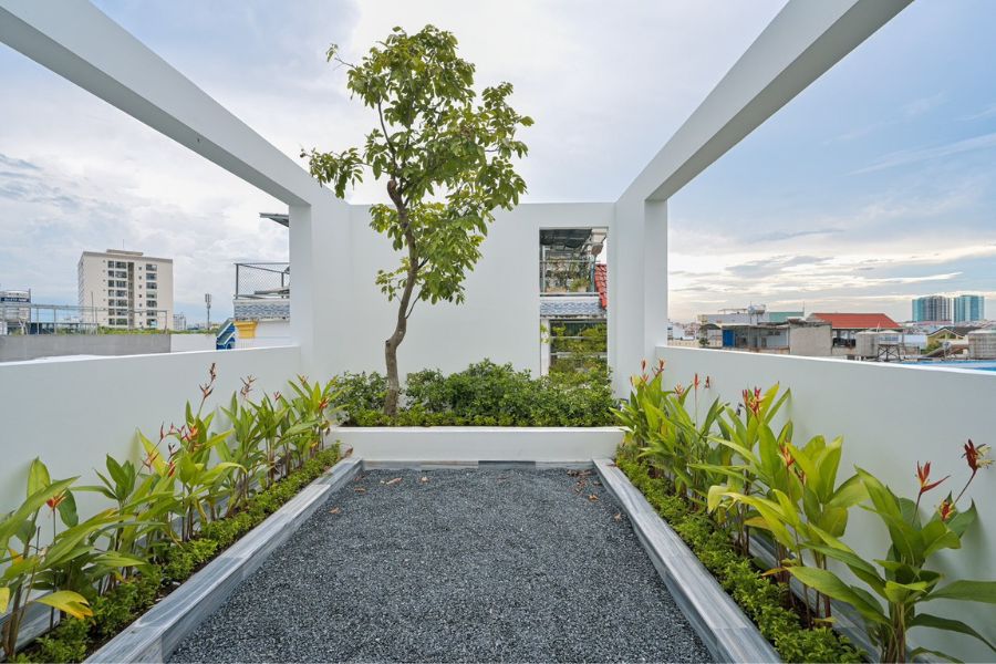 Trồng cây xanh trên sân thượng