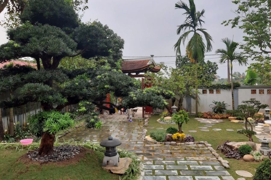 Thiết kế sân vườn đẹp với các loại cây phong thủy mang lại tài lộc, thịnh vượng cho gia chủ