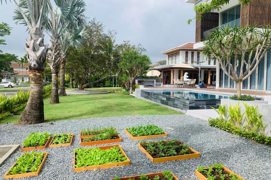 Sân vườn hiện đại với hồ bơi
