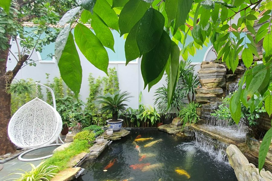 Thác nước, hồ cá nhiều màu sắc là một yếu tố trong phong thủy sân vườn
