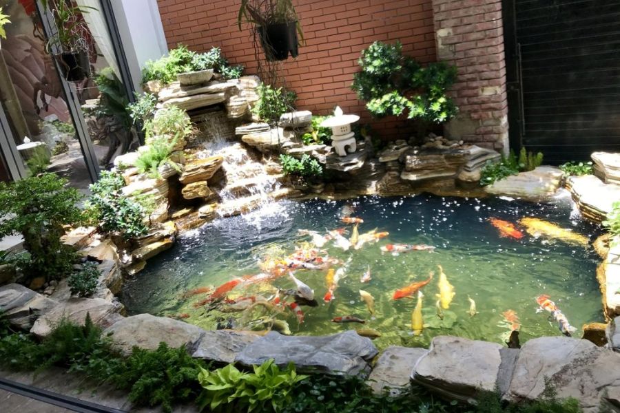 Tiểu cảnh hồ cá nhỏ đẹp với hồn non bộ và cây phong thủy mang lại cảm giác mát mẻ, dễ chịu