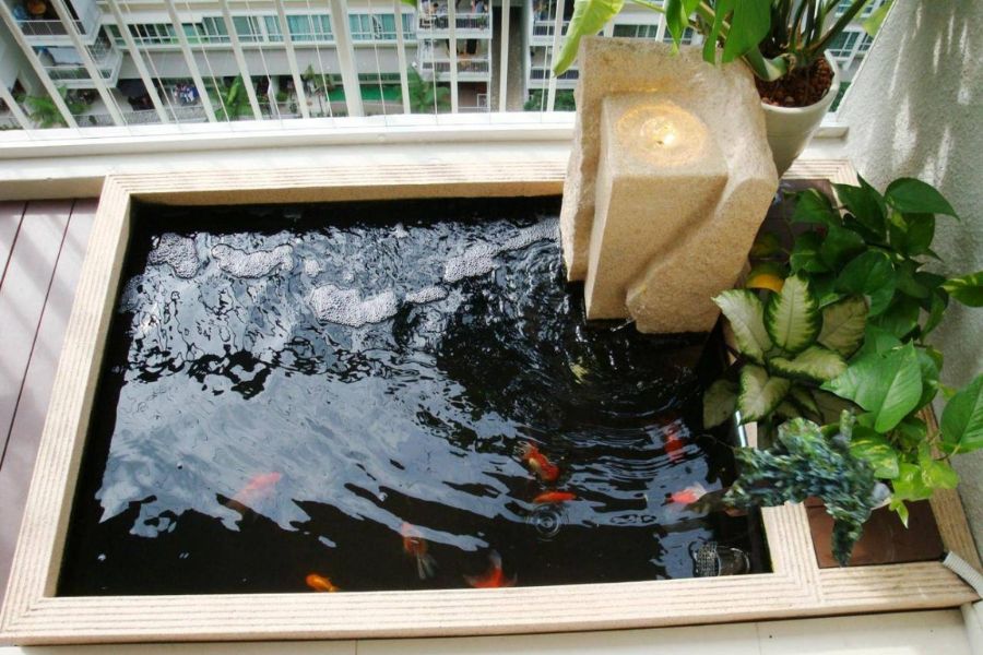 Tiểu cảnh hồ cá mini, dễ thiết kế