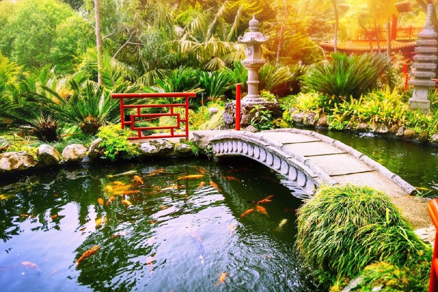 Tiểu cảnh hồ cá phong cách Nhật Bản