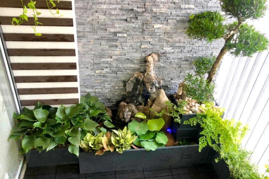 Chiêm ngưỡng mẫu tiểu cảnh hồ cá mini đơn giản