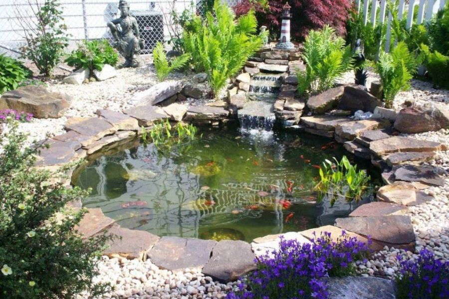 Tiểu cảnh mini bể cá phong thủy