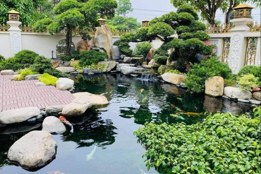 Tiểu cảnh hồ cá kích thước lớn