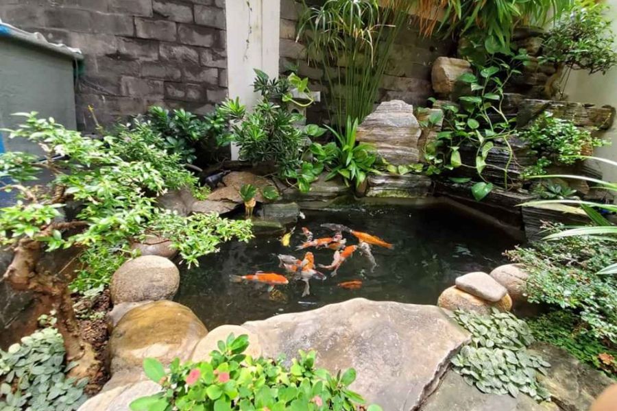 Tiểu cảnh hồ cá nhỏ trong nhà