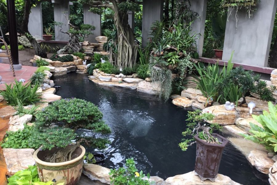 Mẫu hồ cá Koi ngoài trời đẹp